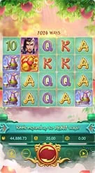 rt66 · Lgd Monkey Kg